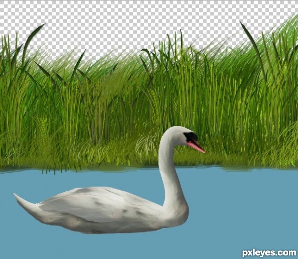 Creation of Swan: Step 18